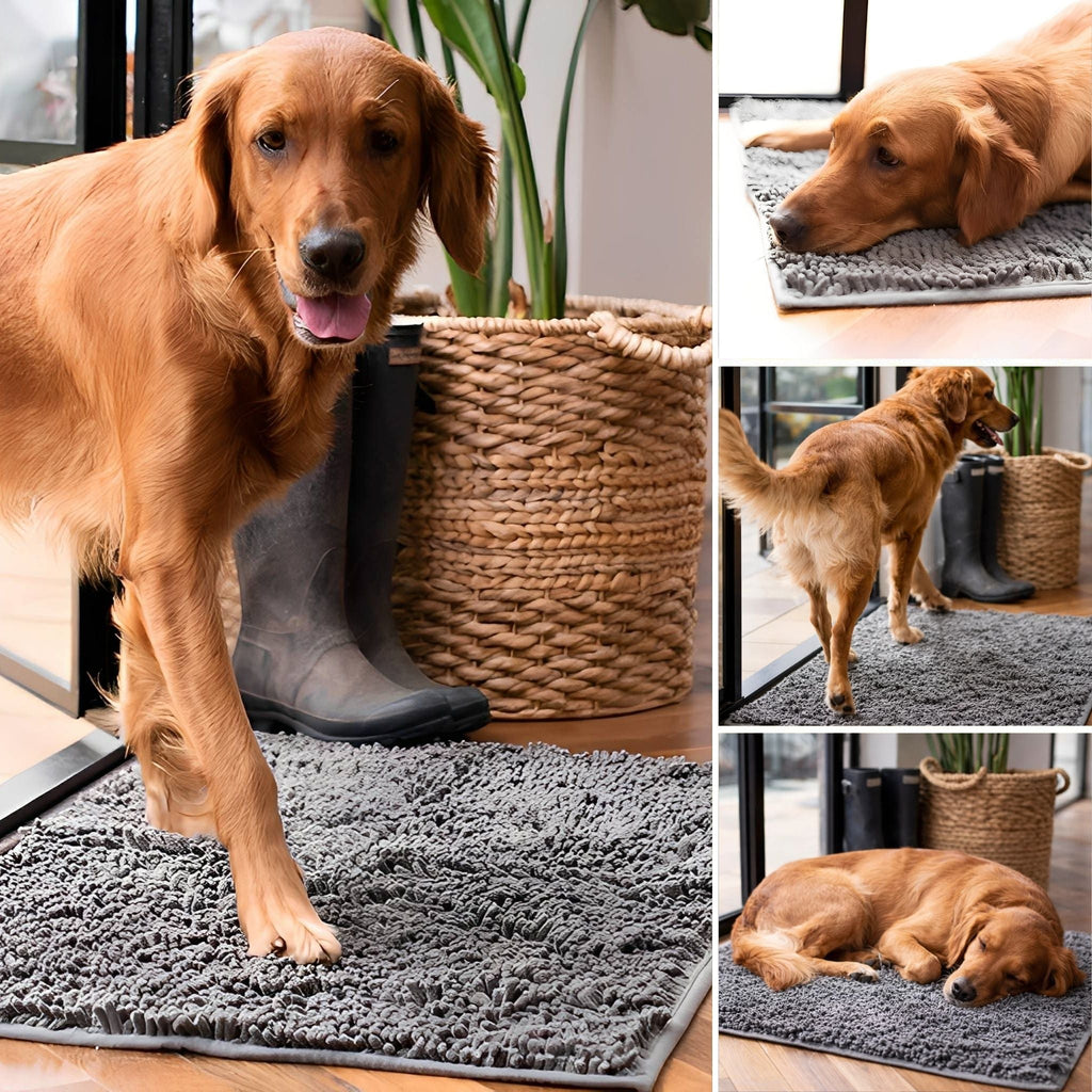 CleanPaw Absorbent Non-Slip Dog Doormat