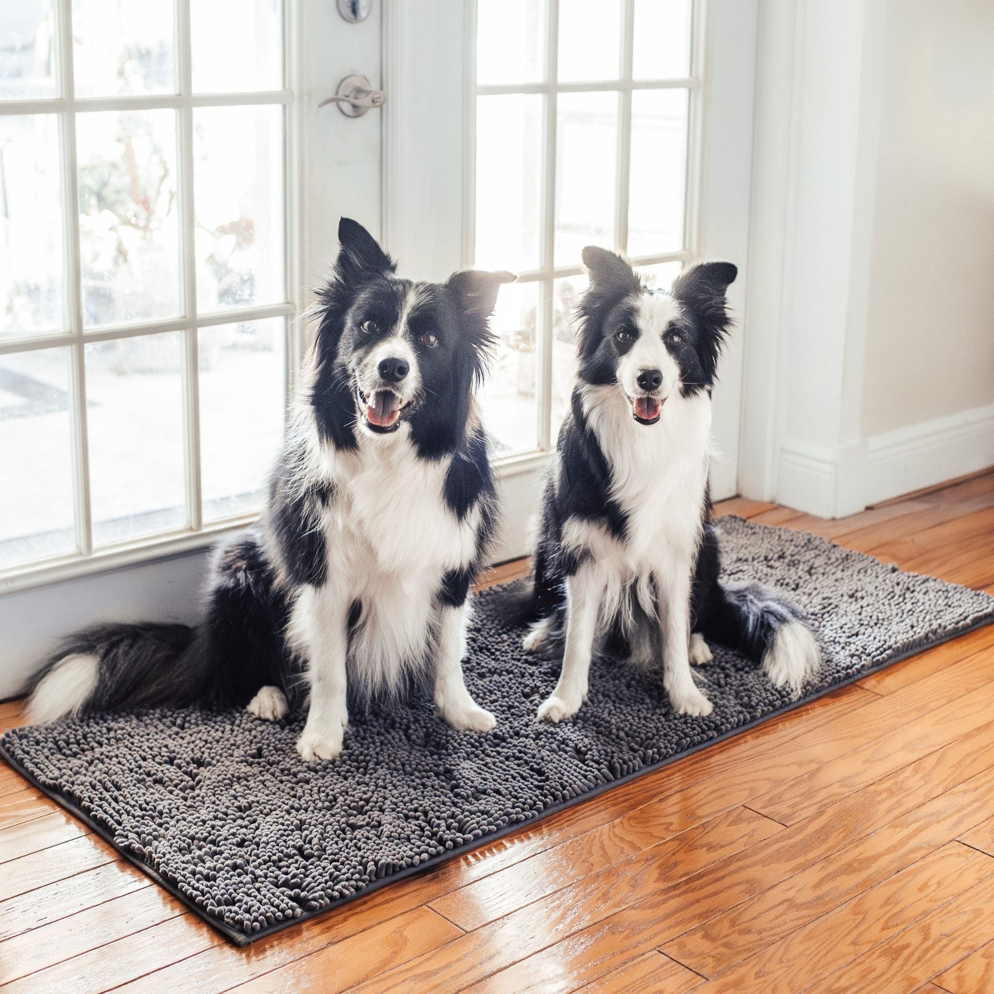 CleanPaw Absorbent Non-Slip Dog Doormat