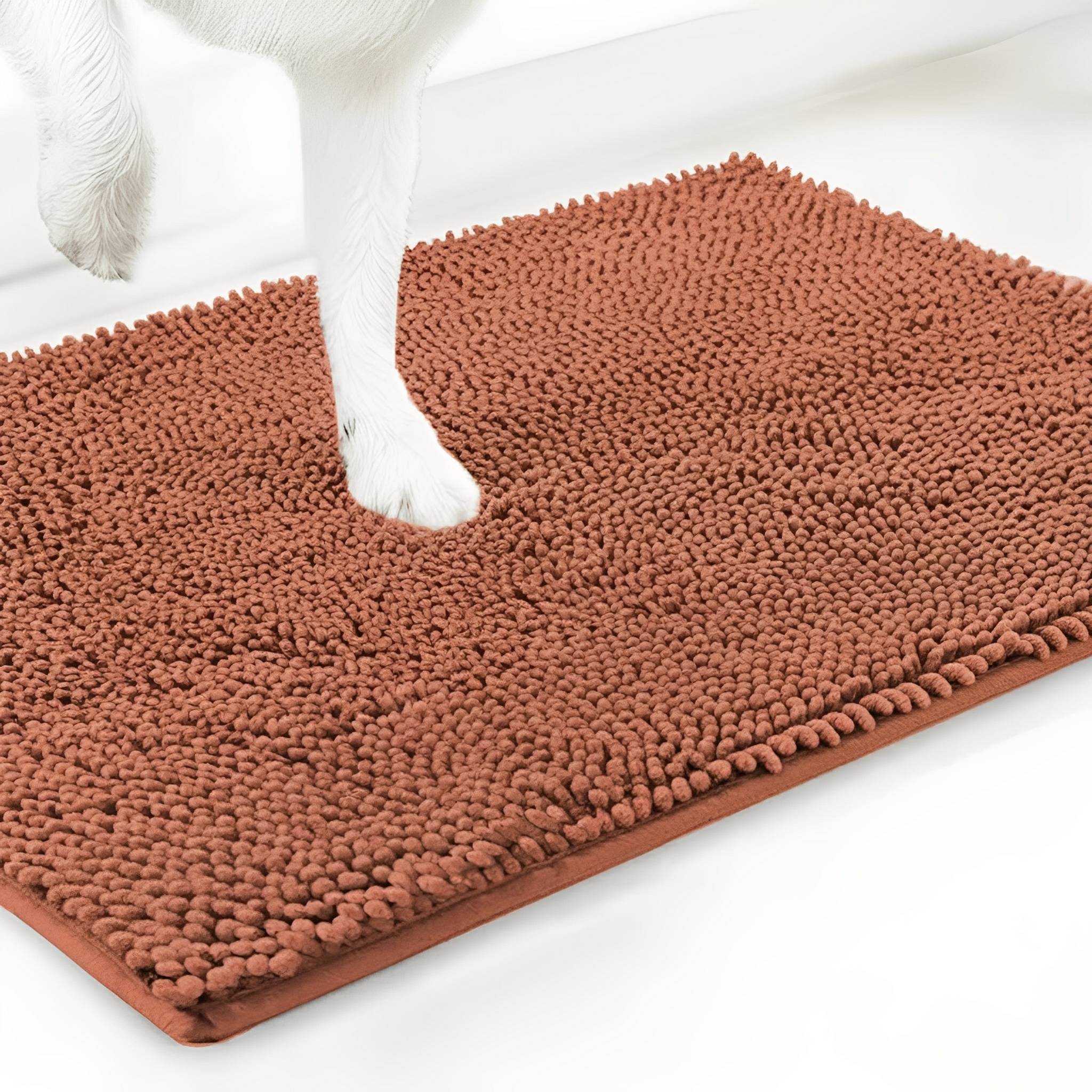 CleanPaw Absorbent Non-Slip Dog Doormat