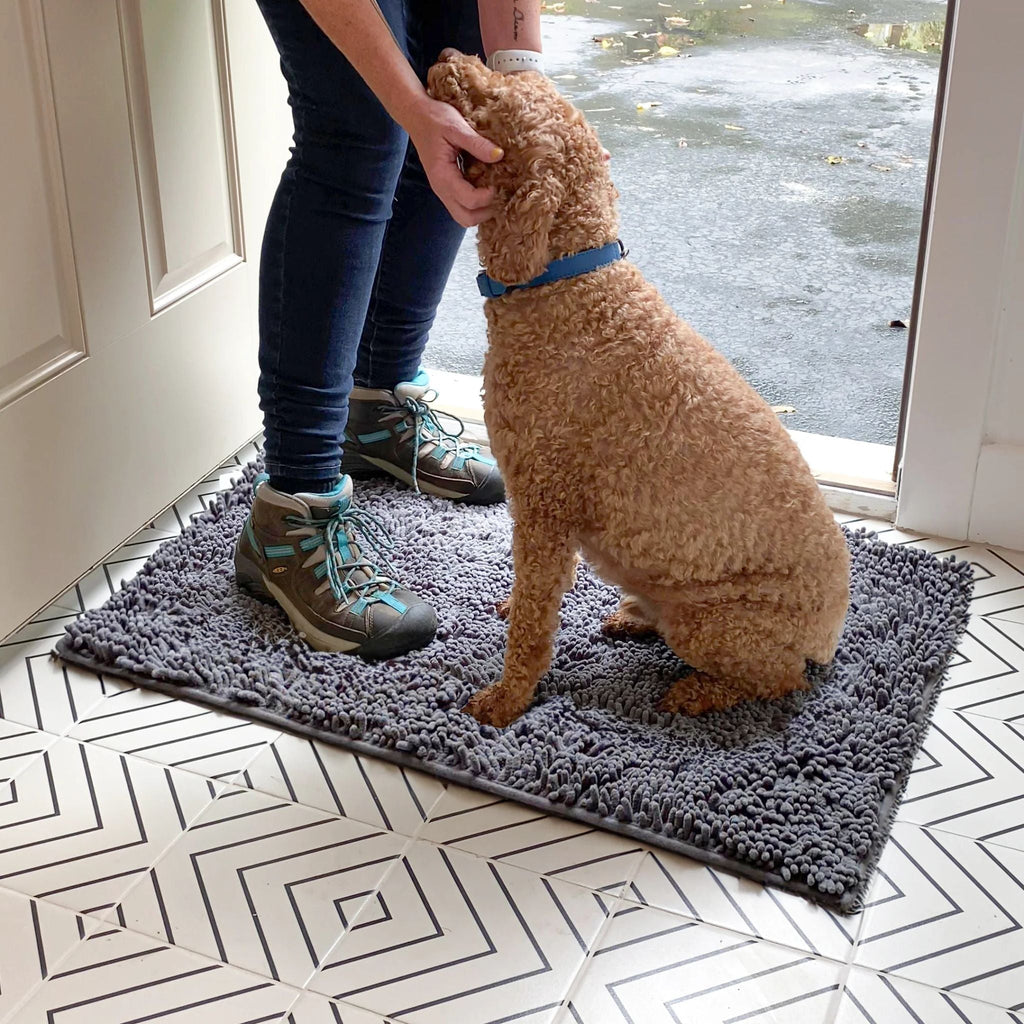 CleanPaw Absorbent Non-Slip Dog Doormat