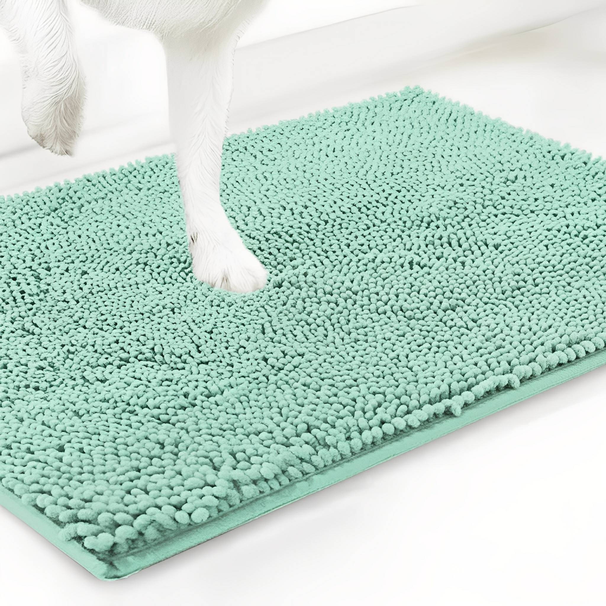 CleanPaw Absorbent Non-Slip Dog Doormat