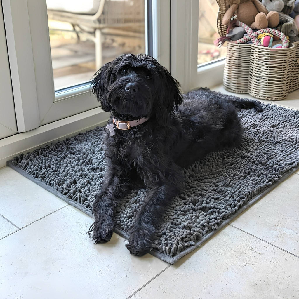 CleanPaw Absorbent Non-Slip Dog Doormat
