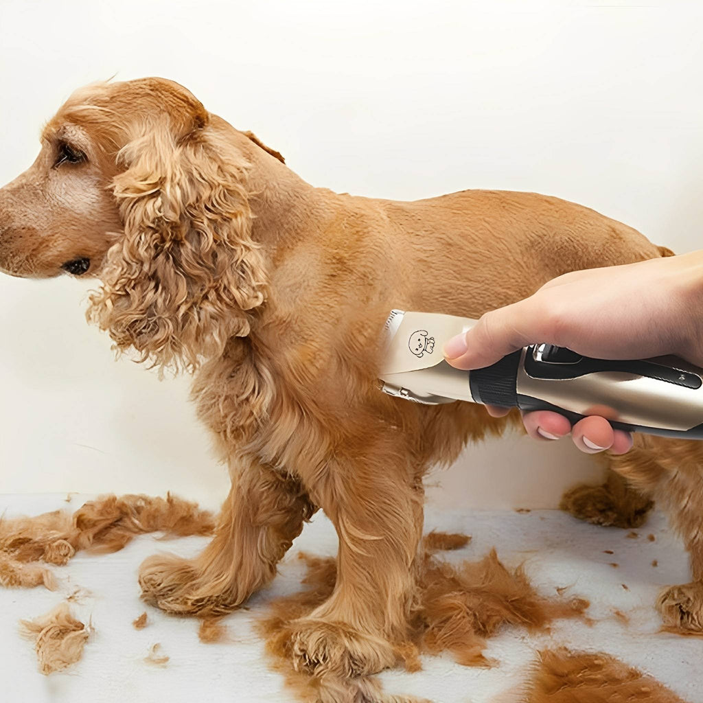 GroomZen Quiet Professional Pet Clipper