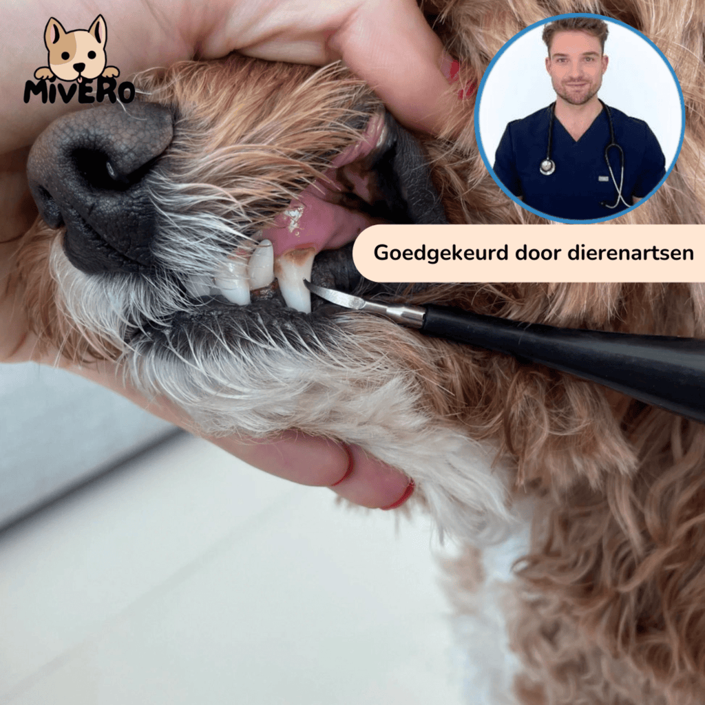 PawBrush Dog Dental Care Set