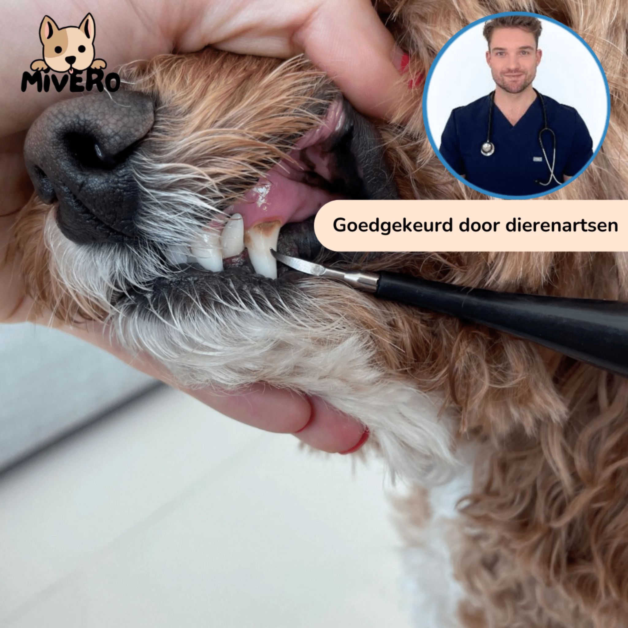 PawBrush Dog Dental Care Set
