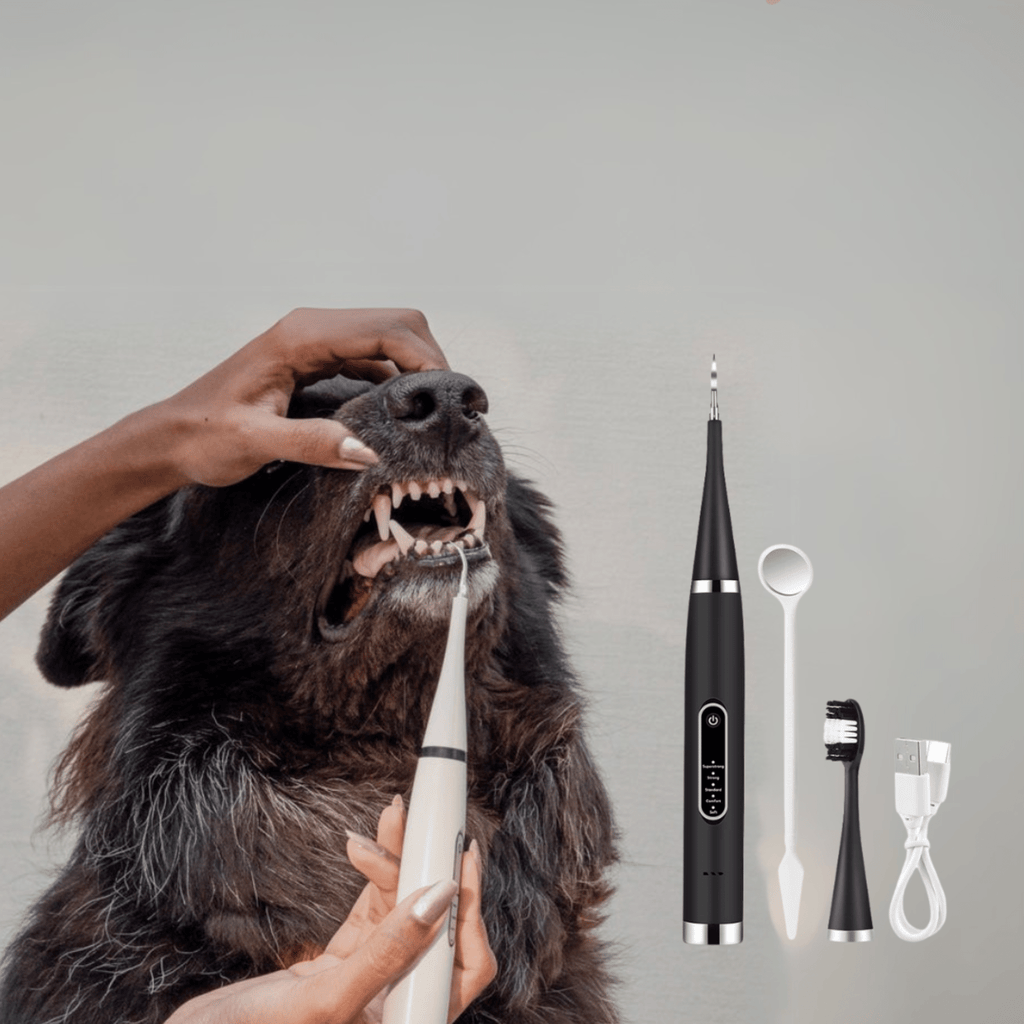 PawBrush Dog Dental Care Set - Black