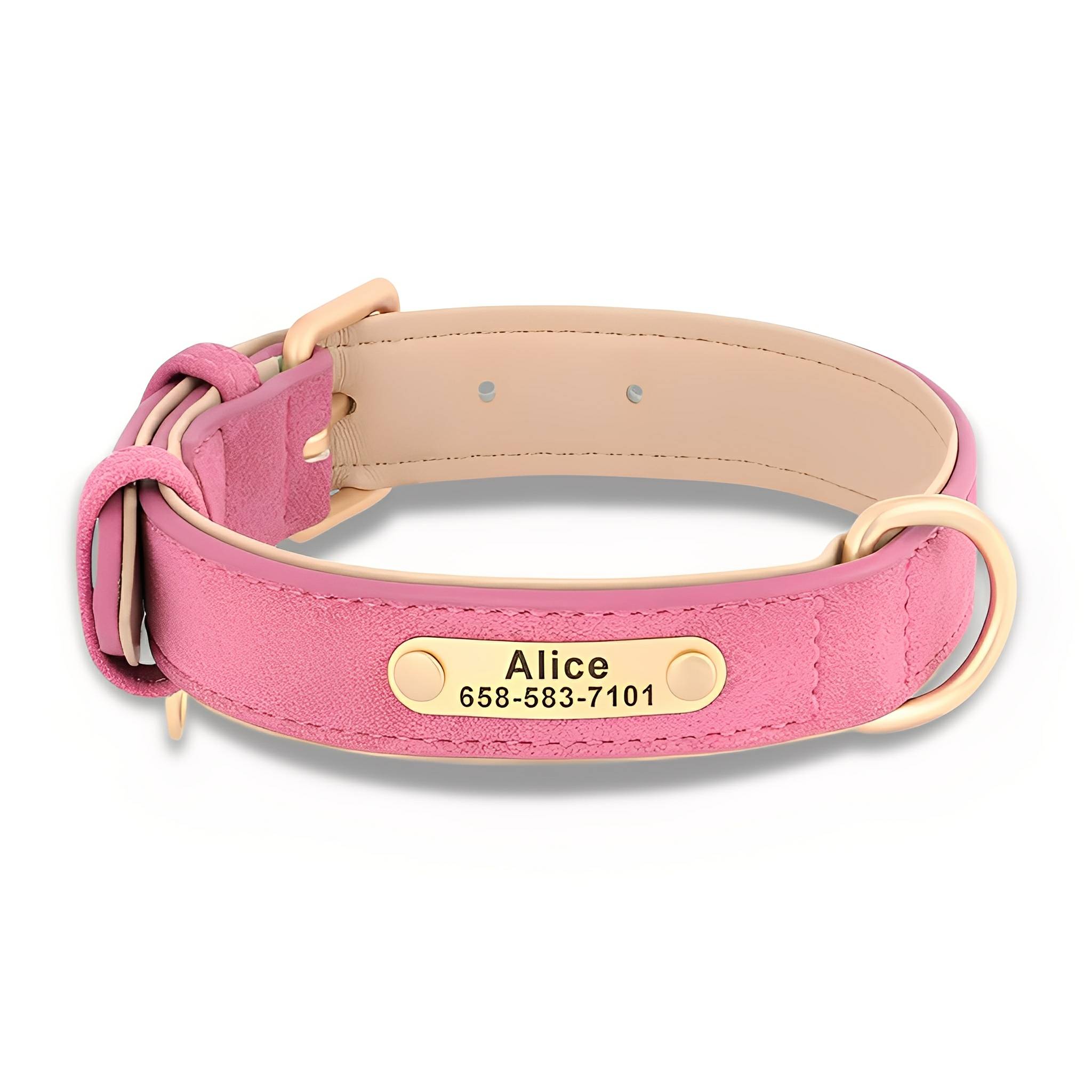 PawID Engraved Leather Dog Collar