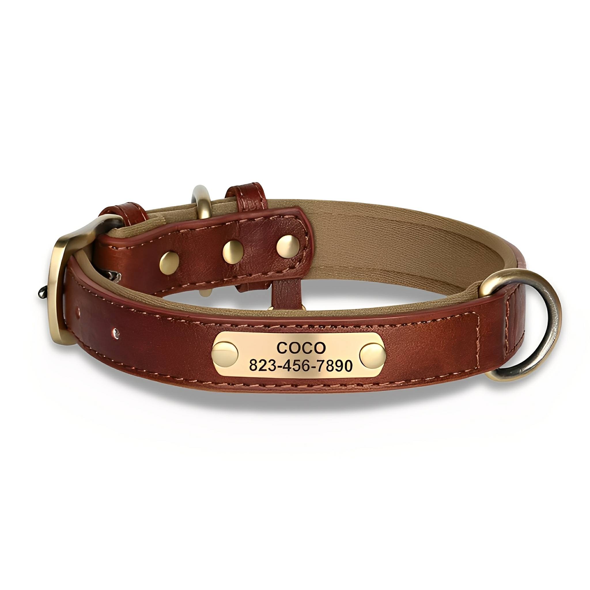 PawID Engraved Leather Dog Collar