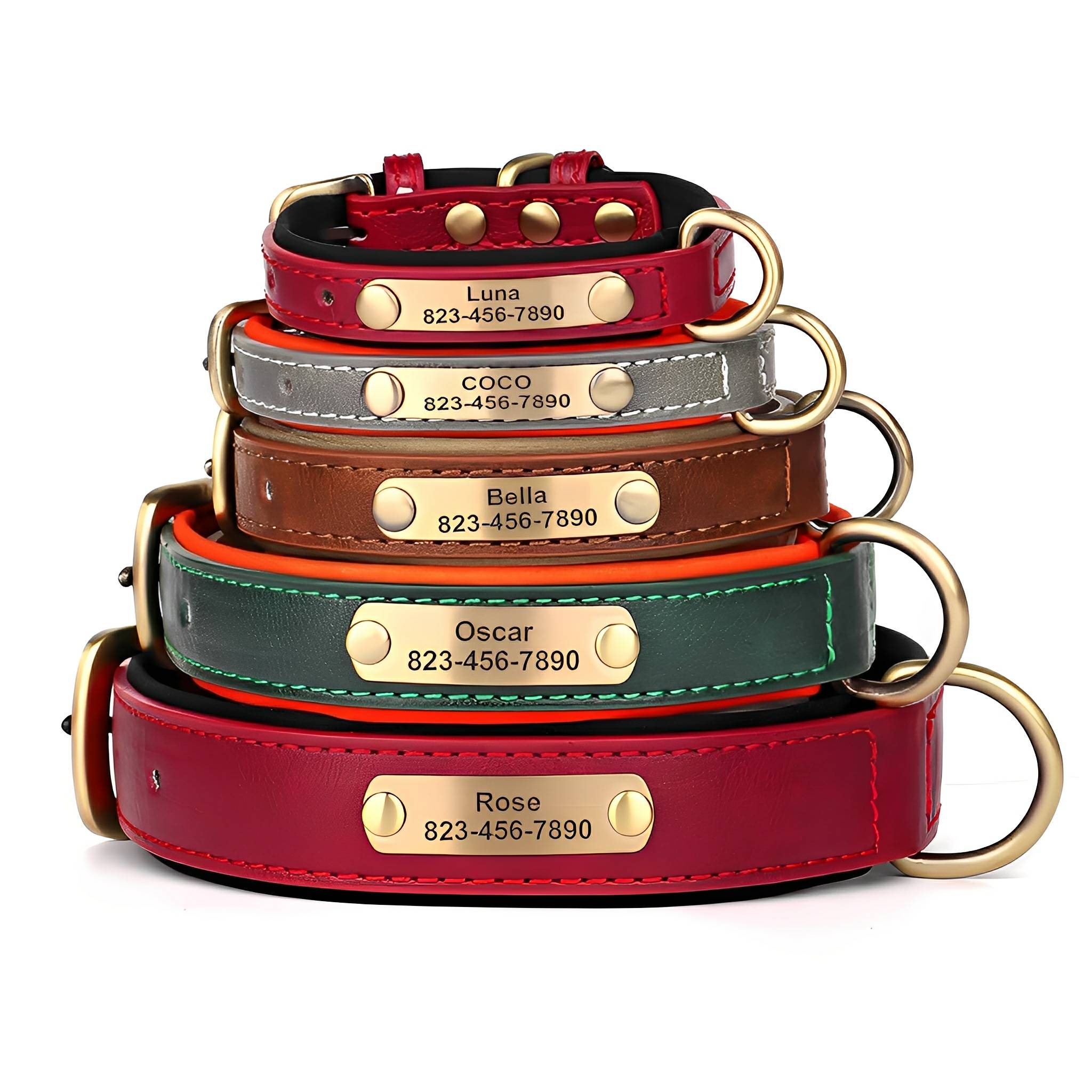 PawID Engraved Leather Dog Collar
