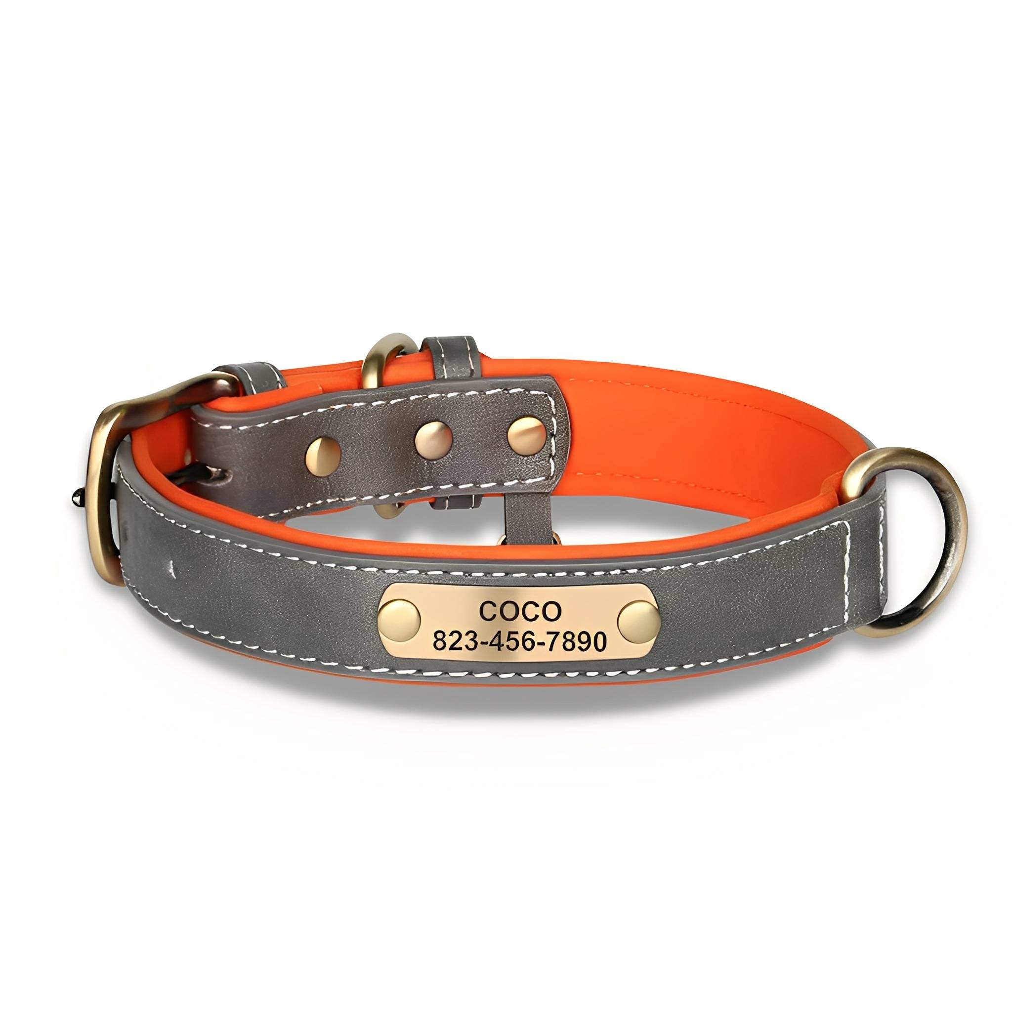 PawID Engraved Leather Dog Collar