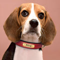 PawID Engraved Leather Dog Collar - Red