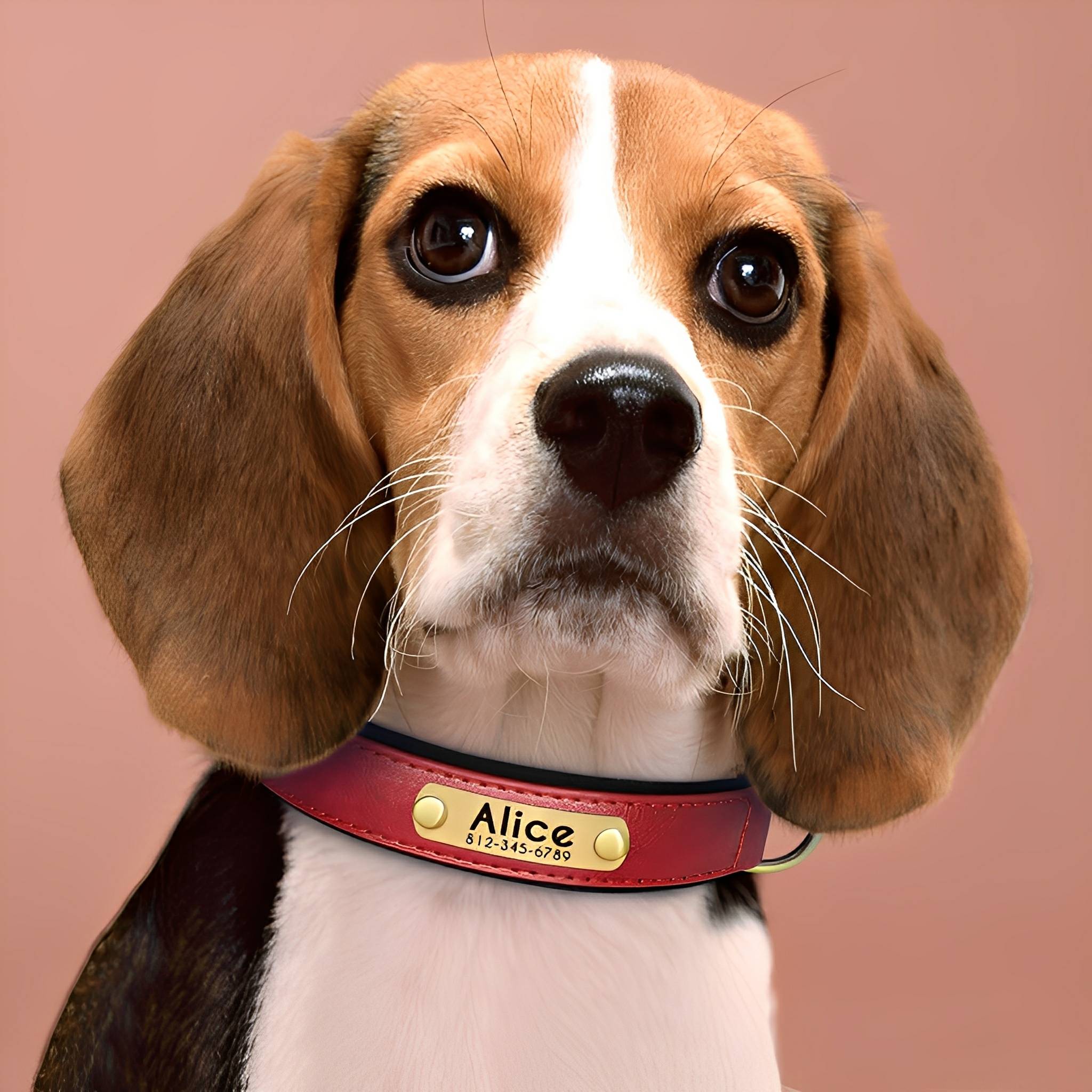 PawID Engraved Leather Dog Collar - Red