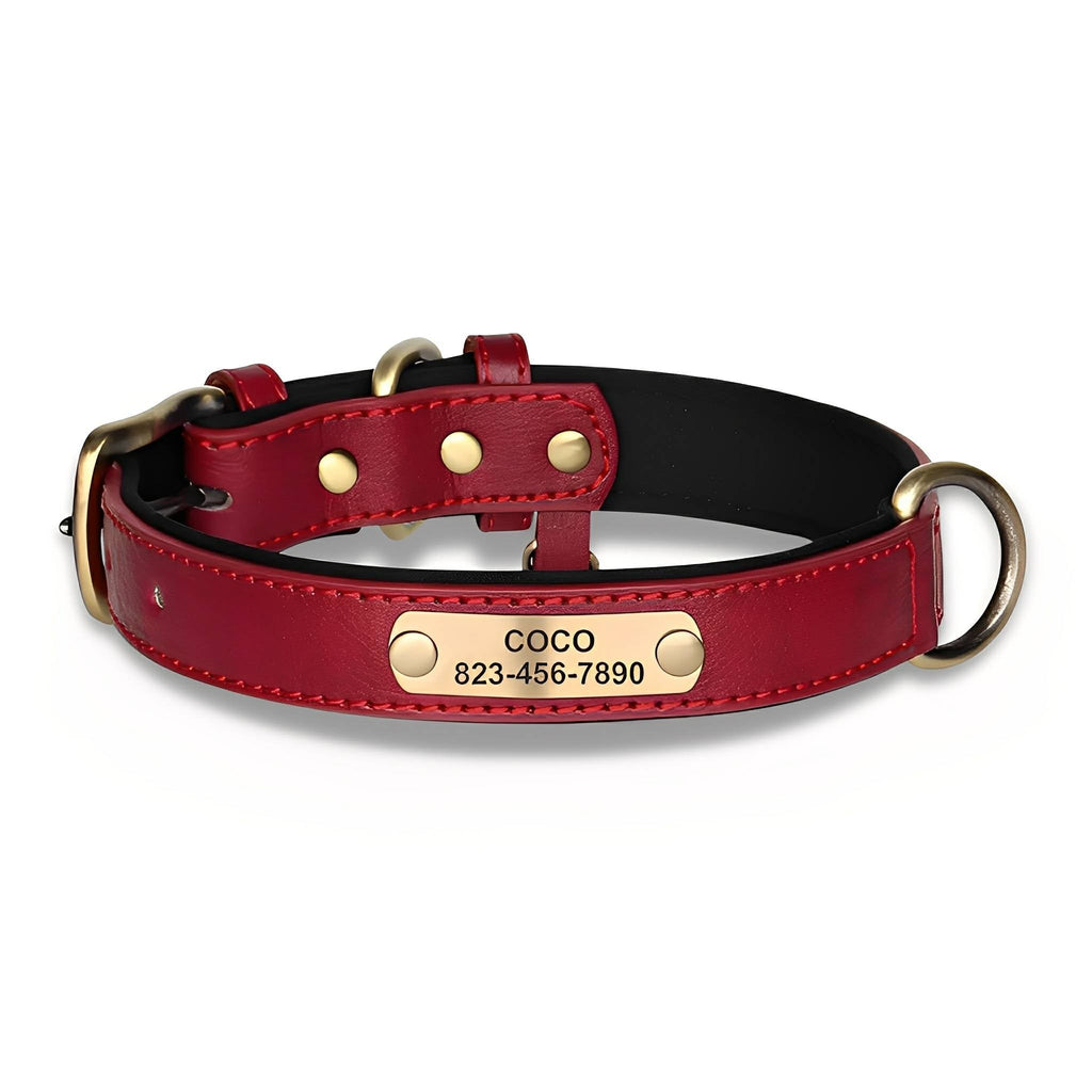 PawID Engraved Leather Dog Collar