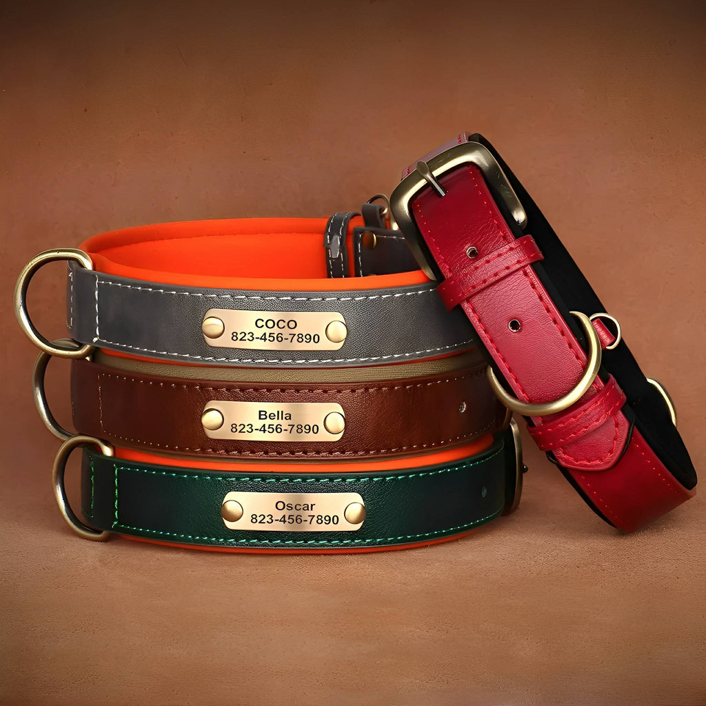 PawID Engraved Leather Dog Collar