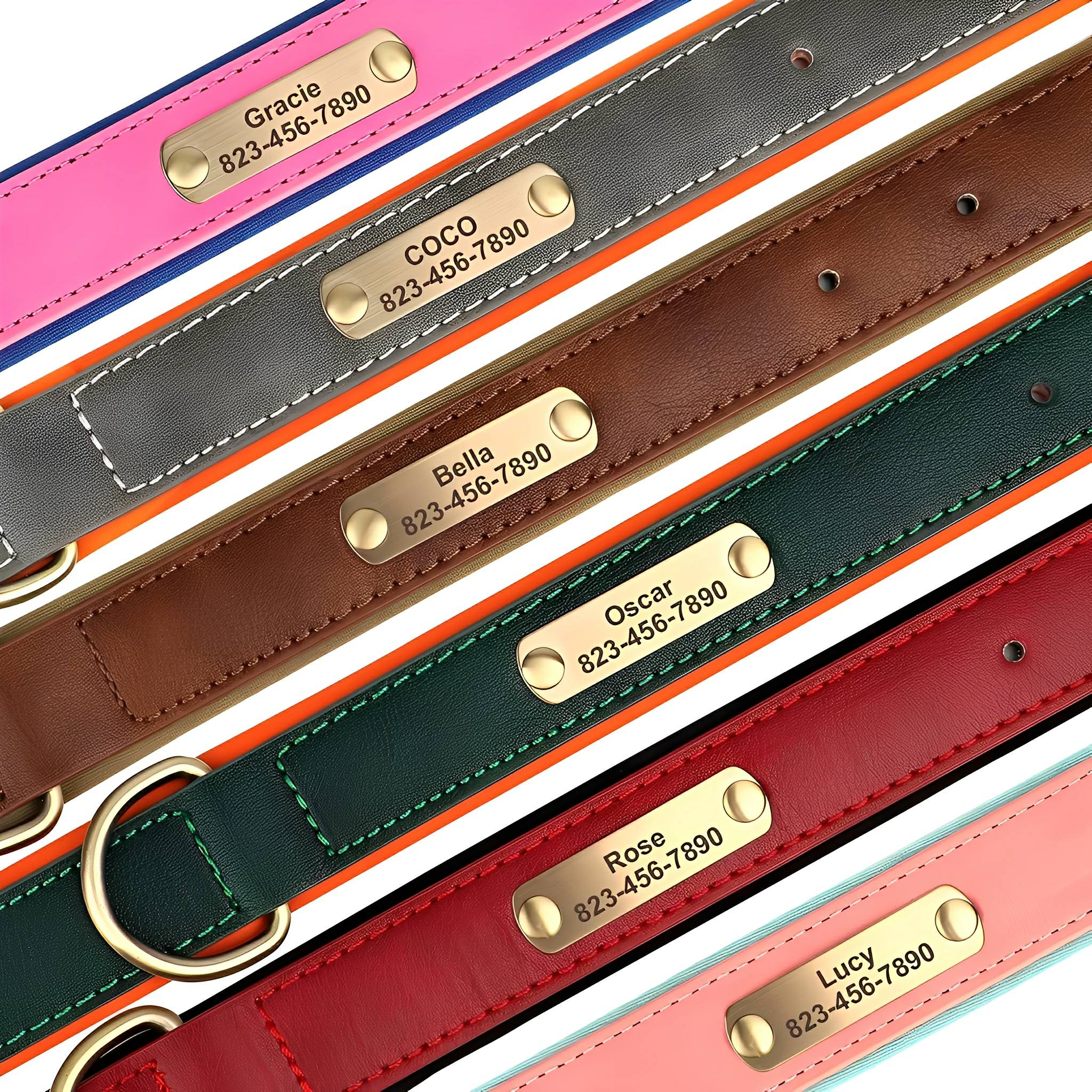 PawID Engraved Leather Dog Collar