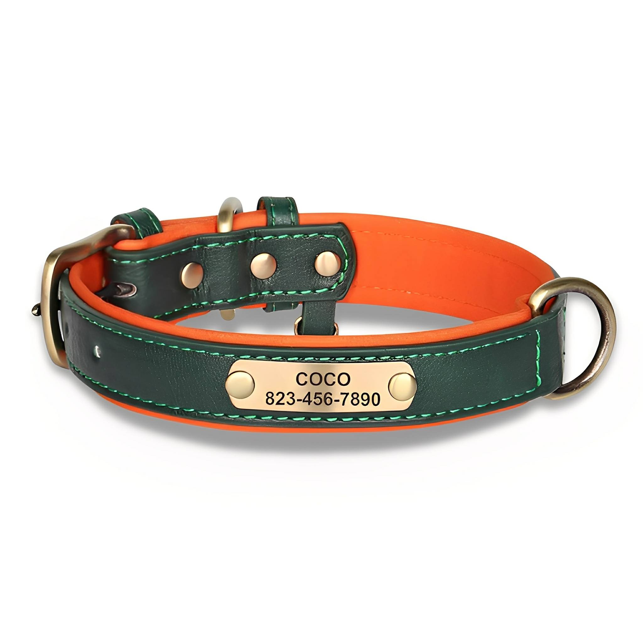PawID Engraved Leather Dog Collar