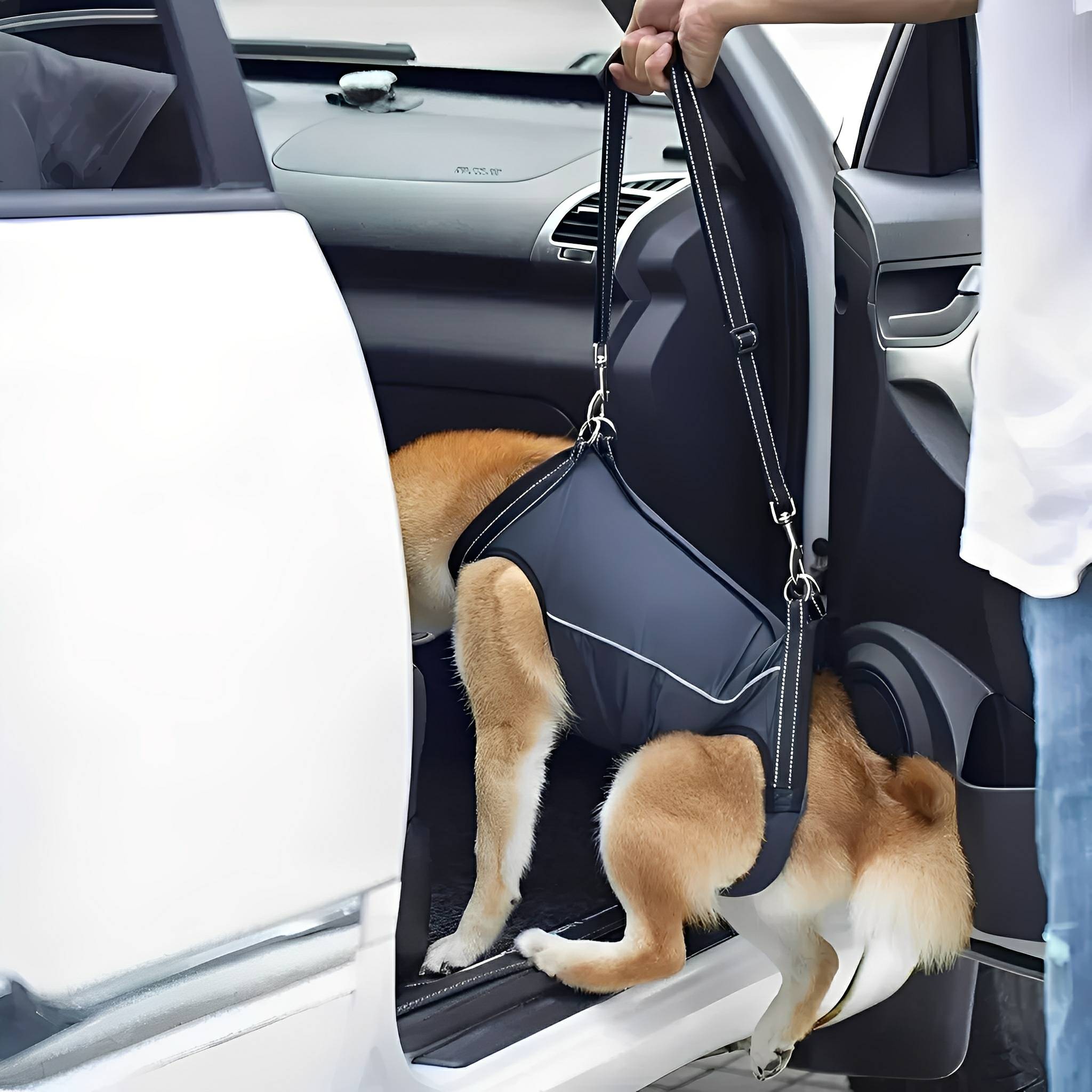PawLift Support Lift Harness for Dogs