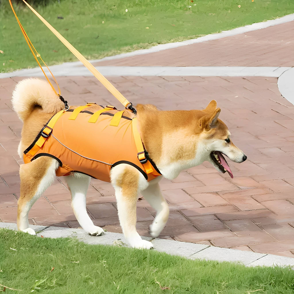 PawLift Support Lift Harness for Dogs