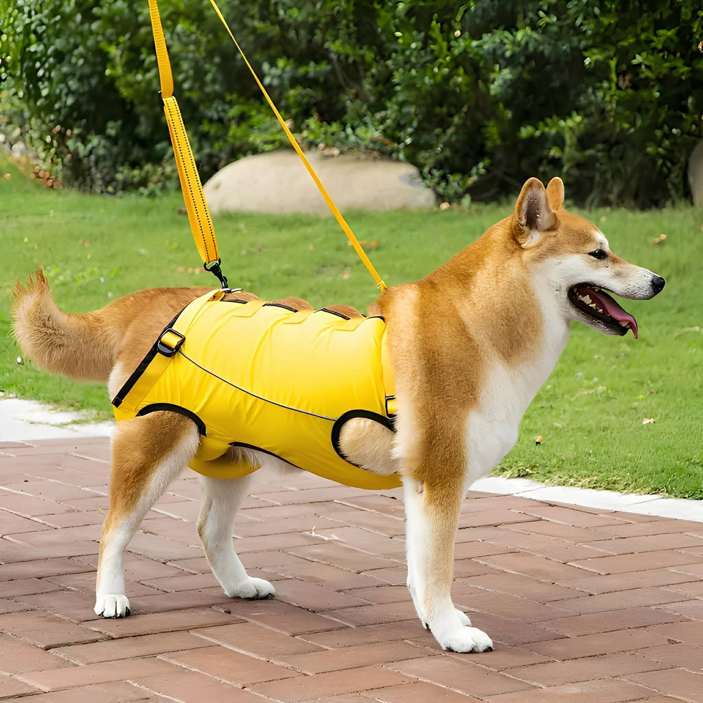 PawLift Support Lift Harness for Dogs
