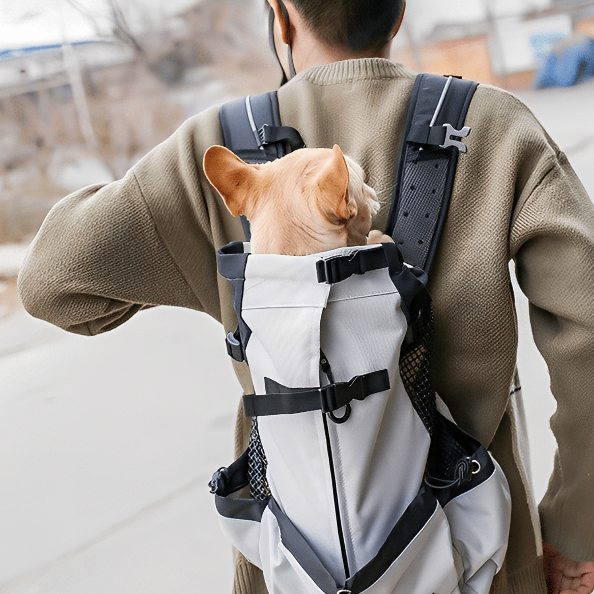 PawPack Ergonomic Dog Carrier Backpack