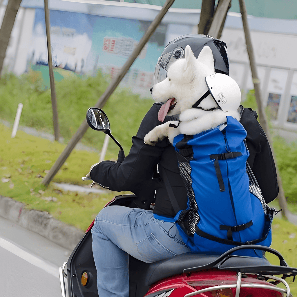 PawPack Ergonomic Dog Carrier Backpack