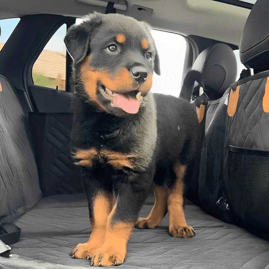 PawPad Waterproof Dog Car Seat Extender