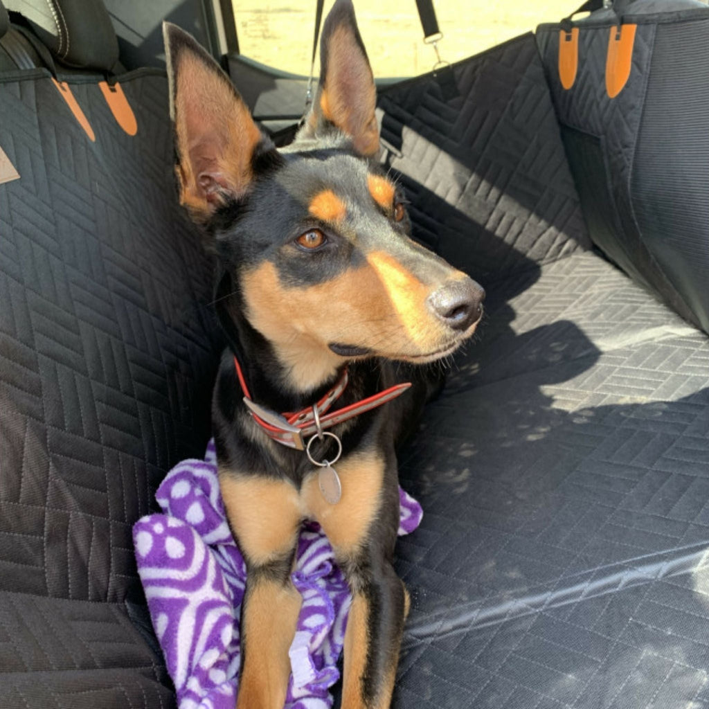 PawPad Waterproof Dog Car Seat Extender
