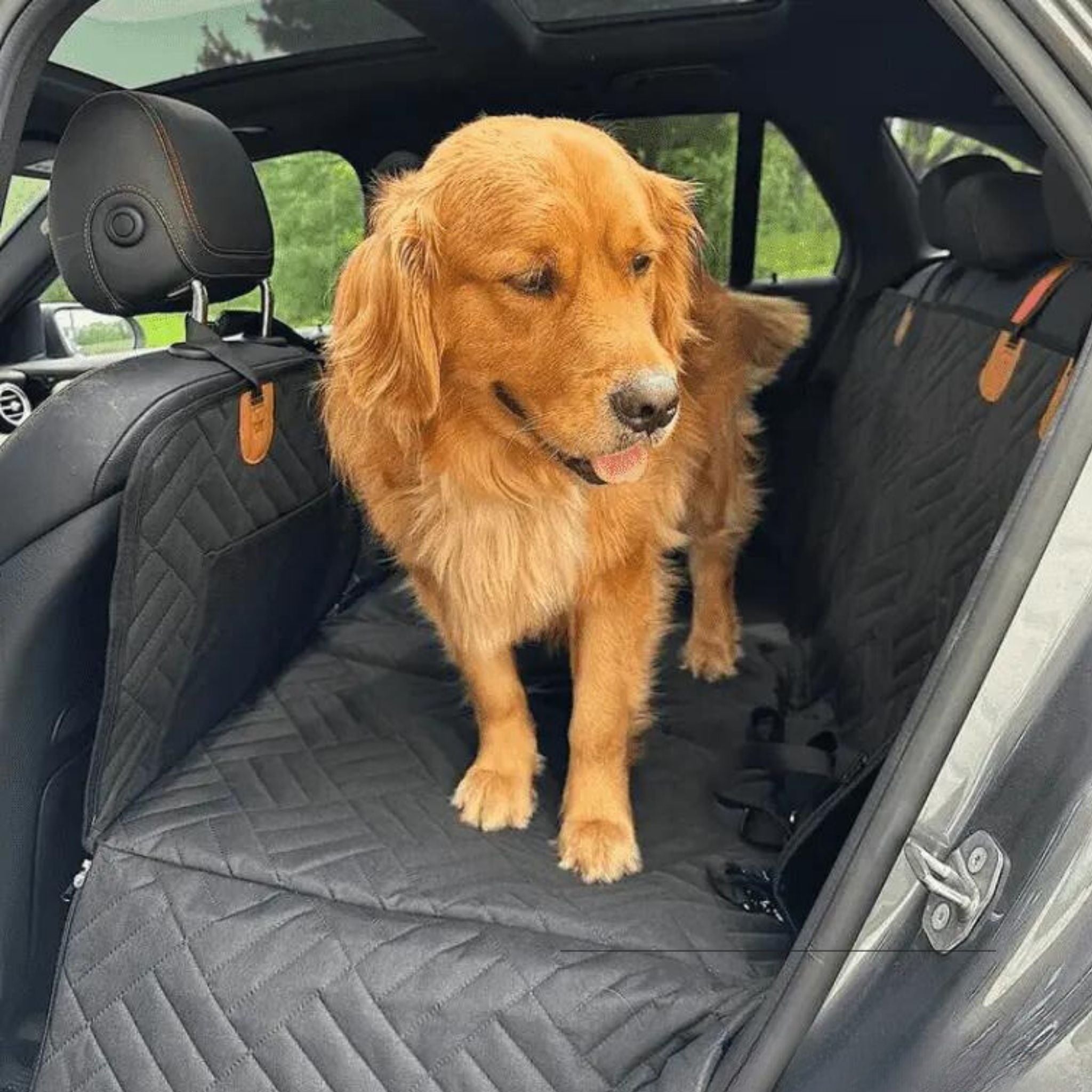 PawPad Waterproof Dog Car Seat Extender