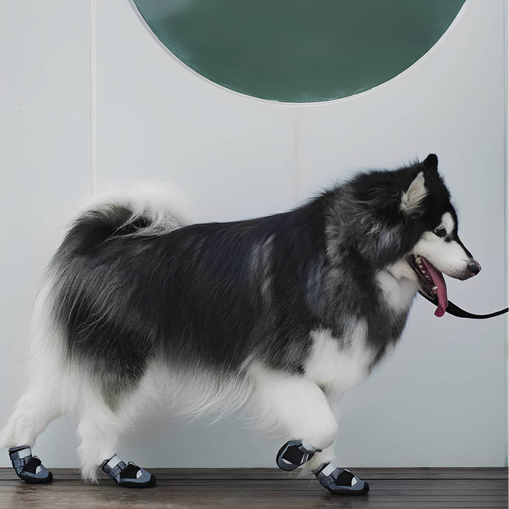 TrailPaws Protective Non-Slip Dog Shoes