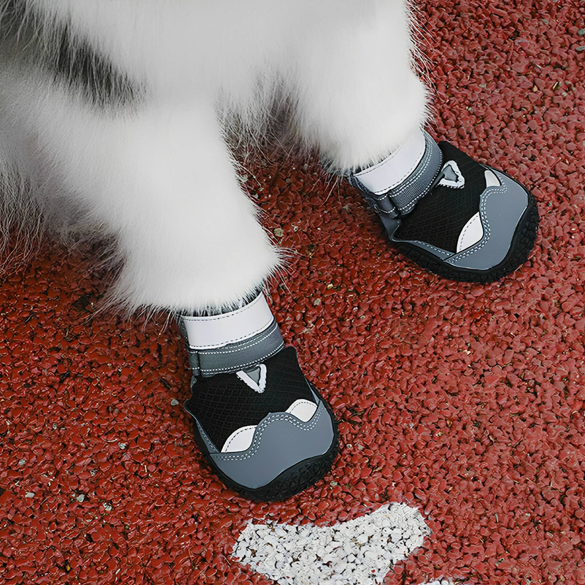 TrailPaws Protective Non-Slip Dog Shoes