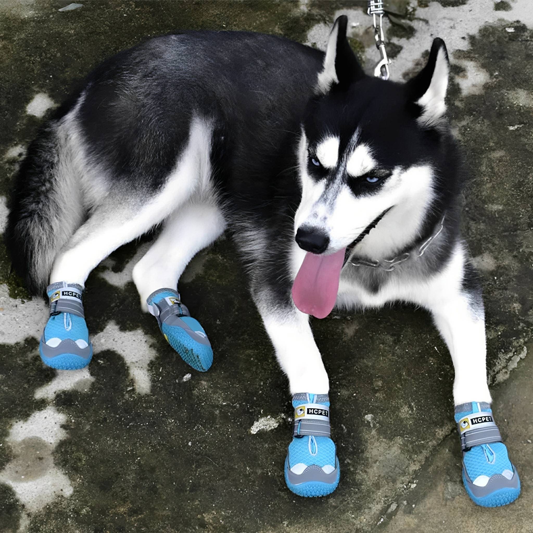 TrailPaws Protective Non-Slip Dog Shoes