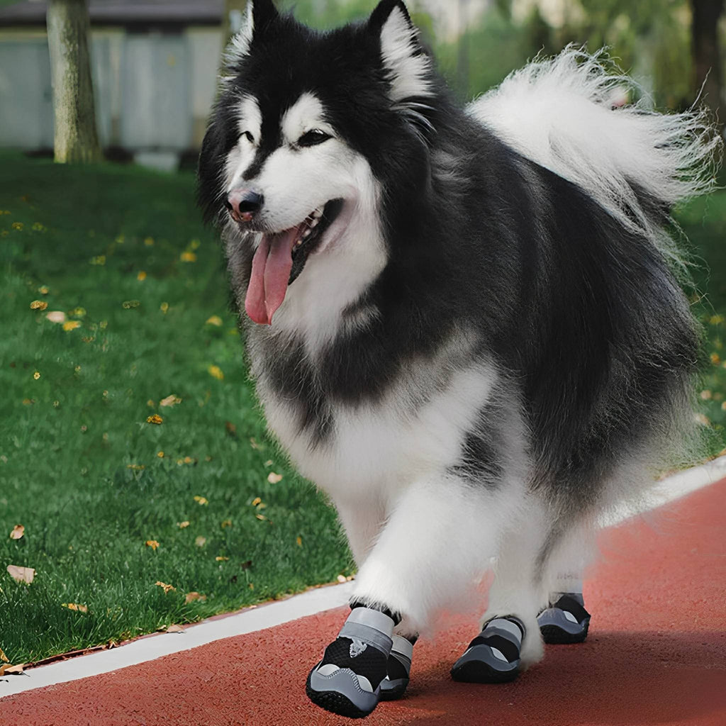 TrailPaws Protective Non-Slip Dog Shoes - Black