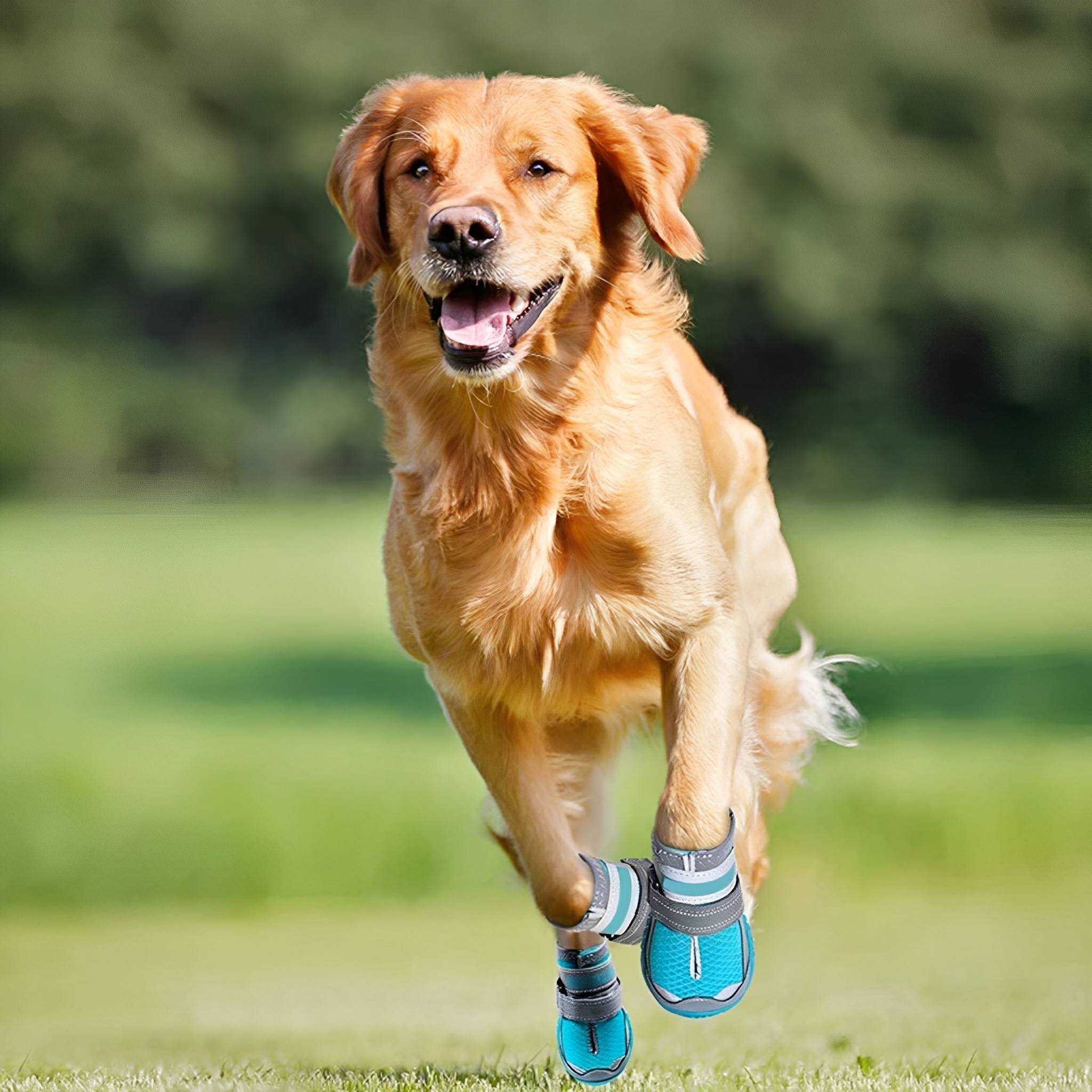 TrailPaws Protective Non-Slip Dog Shoes